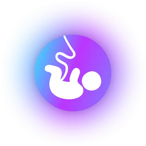 Desenho de um bebê ainda feto dentro de um círculo